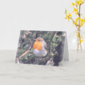 Notecard: イギリスのロビン カード (黄色い花)