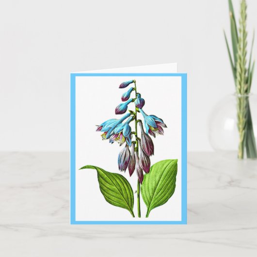 Notecard BotanicalsピエールヨセフRedoute 17 カード (正面)