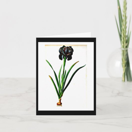 Notecard BotanicalsピエールヨセフRedoute 18 カード (正面)