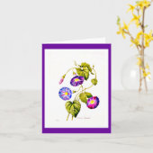 Notecard BotanicalsピエールヨセフRedoute 6 カード (黄色い花)