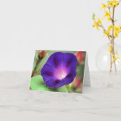 Notecard - Morning Glory カード (黄色い花)