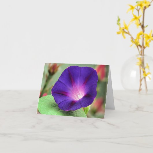Notecard - Morning Glory カード (黄色い花)
