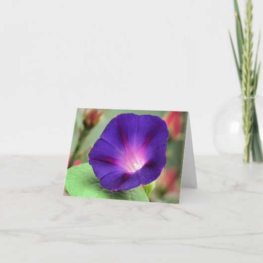 Notecard - Morning Glory カード (正面)