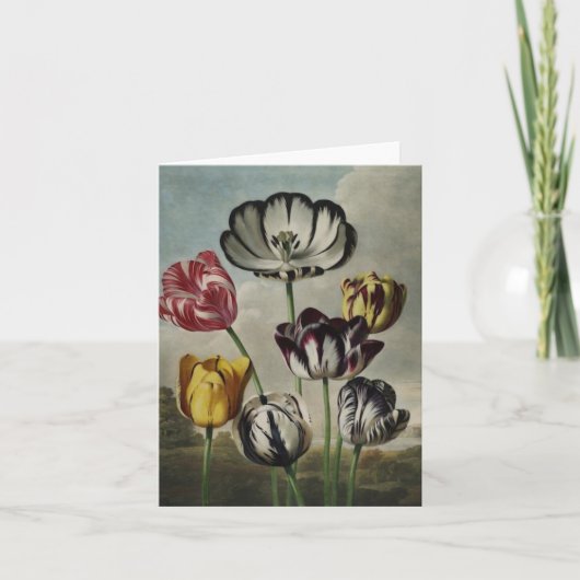 notecardsの旧式なbotanicalsのチューリップ カード (正面)