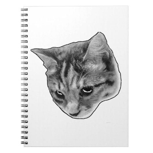 Notes Under Watchful Eyes ノートブック (正面)