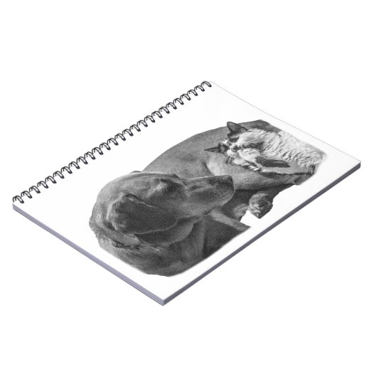 Notes with a Cozy Duo ノートブック (左側)