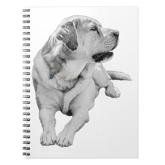 Notes with a Gentle Buddy ノートブック (正面)