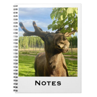 Notizbuch ノートブック
