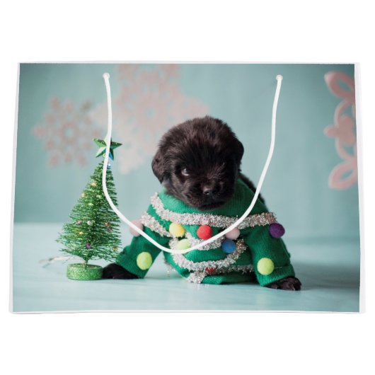 Nottaくまの子犬のギフトバッグ ラージペーパーバッグ (正面)