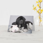 Nottaくまの歓迎カード カード (黄色い花)