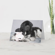 Nottaくまの歓迎カード