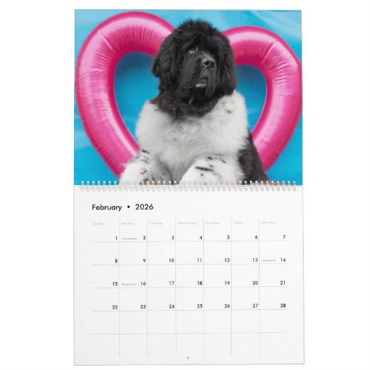 Notta Bear Through The Year カレンダー (2月 2026)