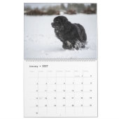 Notta Bear Through The Year カレンダー (1月 2027)