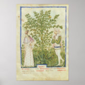 Nouv Acq Lat Celery, from 'Tacuinum Sanitatis' ポスター (正面)