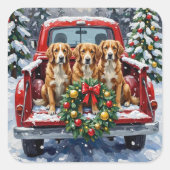 Nova Scotia Duck Tolling Retriever Christmas Red スクエアシール (正面)