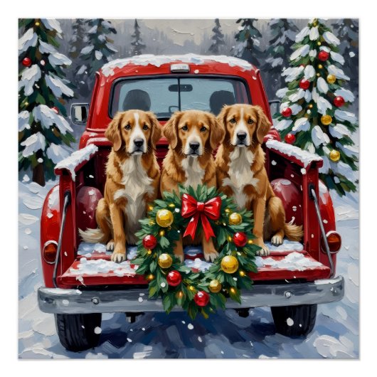 Nova Scotia Duck Tolling Retriever Christmas Red ポスター (正面)