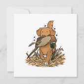Nova Scotia Duck Tolling Retriever NSDTR (正面)