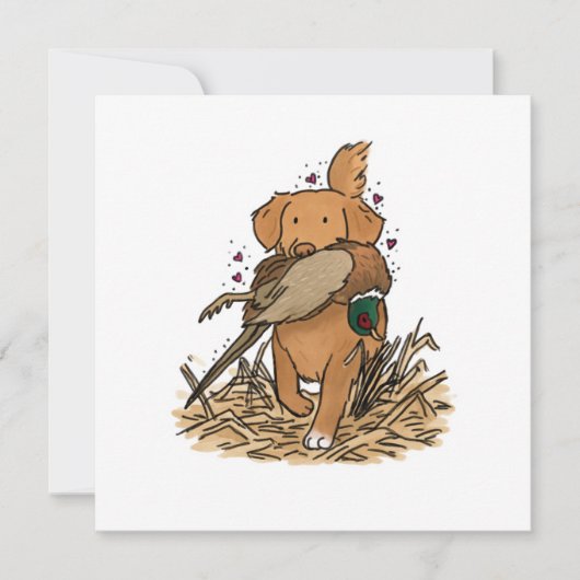 Nova Scotia Duck Tolling Retriever NSDTR (正面)