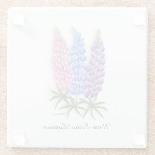 Nova Scotia Lupines ガラスコースター (裏面)