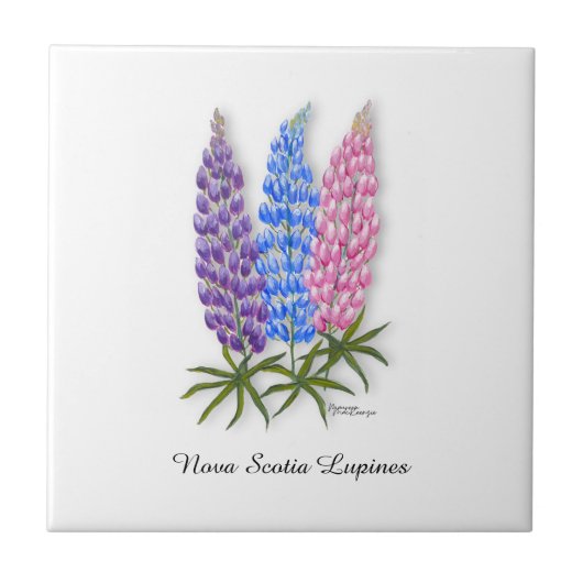 Nova Scotia Lupines タイル (正面)
