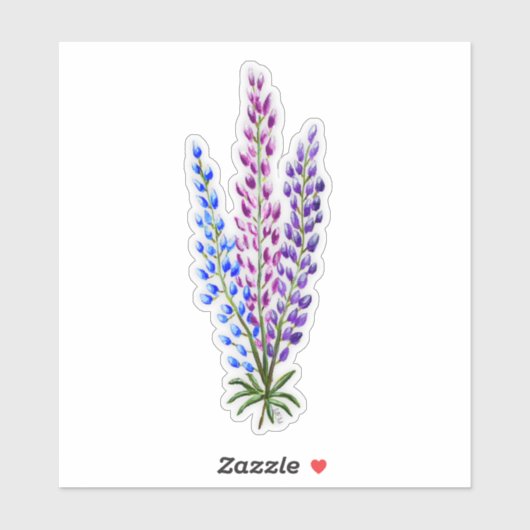 Nova Sotia Lupines シール (シート)