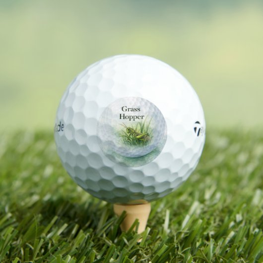 Novelty Golf Ball | Grass Hopper Fun Golf Gift ゴルフボール (インサイチュ 木)