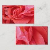 NOVINO -赤いバラ 名刺 (正面/裏面)
