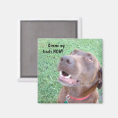 NOWマグネットの処理 マグネット (正面/裏面)