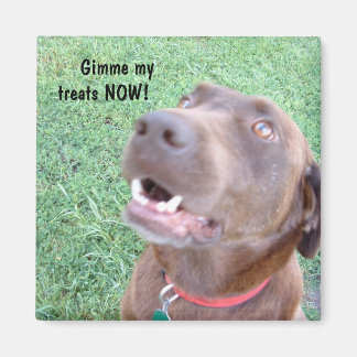 NOWマグネットの処理 マグネット