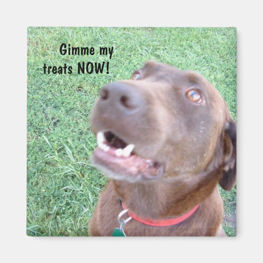 NOWマグネットの処理 マグネット (正面)