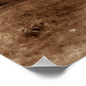 Nowhereへのツリーパス ポスター (角)