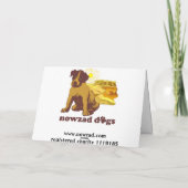 Nowzadおよびペンの待っている挨拶状 カード (裏面)