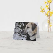Nowzadの救助犬のキロNotecard カード (黄色い花)