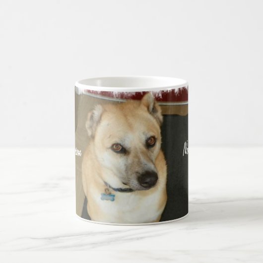 Nowzadの救助犬のコーヒー・マグ コーヒーマグカップ (中央)
