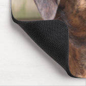 Nowzadの救助犬のBrinのマウスパッド マウスパッド (コーナー)