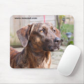 Nowzadの救助犬のBrinのマウスパッド マウスパッド (マウス)