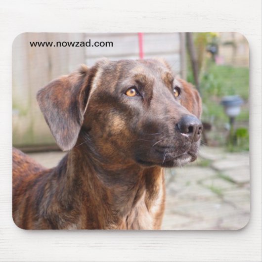 Nowzadの救助犬のBrinのマウスパッド マウスパッド (正面)