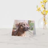 Nowzadの救助犬Brin Notecard カード (黄色い花)