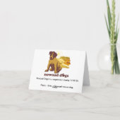 Nowzadの救助犬Brin Notecard カード (裏面)