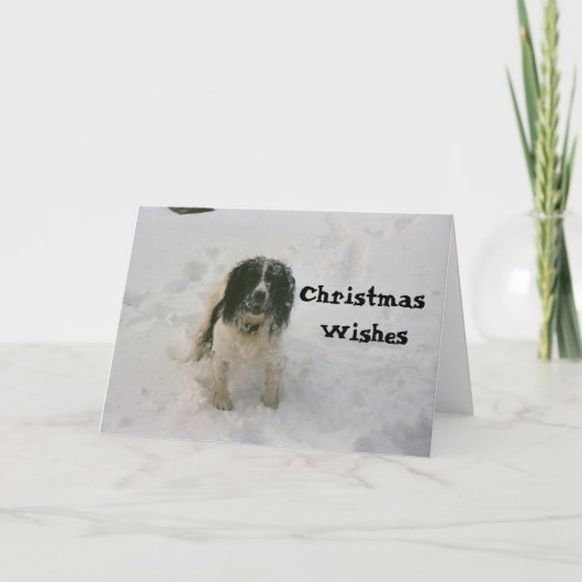 Nowzadはクリスマスカード(1)の後をつけます シーズンカード (正面)