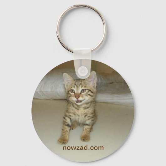 Nowzadレスキュー猫キーリング キーホルダー (正面)