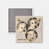 Nowzad救助犬の磁石 マグネット (正面/裏面)