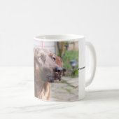 Nowzad Rscue犬のBrinのコーヒー・マグ コーヒーマグカップ (正面右)