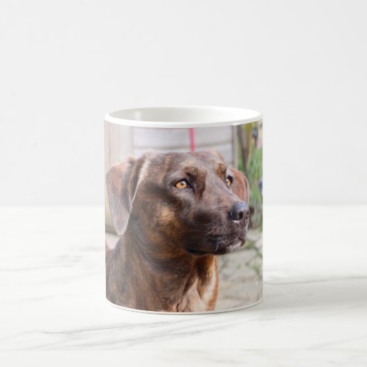 Nowzad Rscue犬のBrinのコーヒー・マグ コーヒーマグカップ (中央)