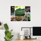 NRスネークフォトグラフィー_Page000 ポスター (ホームオフィス)