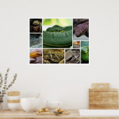 NRスネークフォトグラフィー_Page000 ポスター (キッチン)