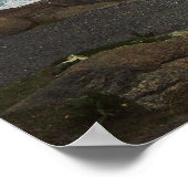 Nubble Light - York, Maine 24 x 24ポスタープリント ポスター (角)