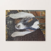 Nubianかわいらしヤギの写真 ジグソーパズル (横)