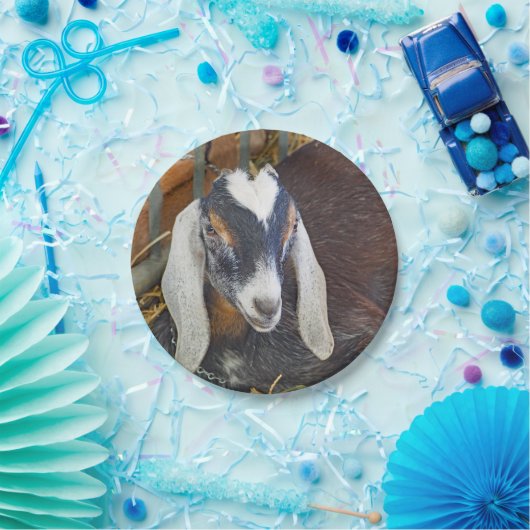 Nubianかわいらしヤギの写真 ペーパープレート (パーティー)