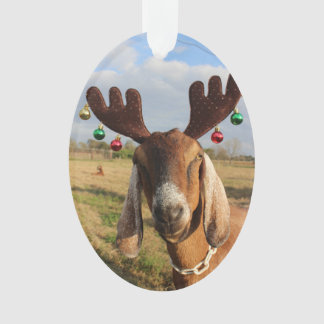 Nubianのトナカイのクリスマスのオーナメント オーナメント